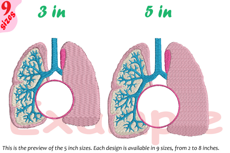 lungs-split-and-circle-embroidery-design-organs-anatomy-frame-231b