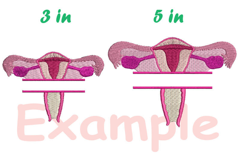 uterus-circle-and-split-embroidery-design-science-anatomy-frame-233b