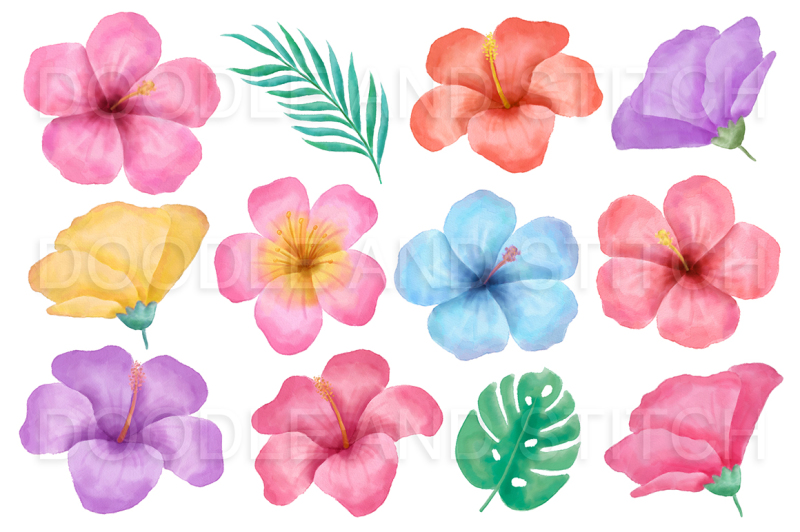tropical-flower-watercolor-flower-illustrations