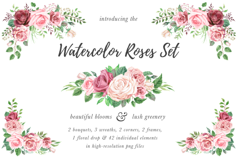 watercolor-roses-and-foliage-set