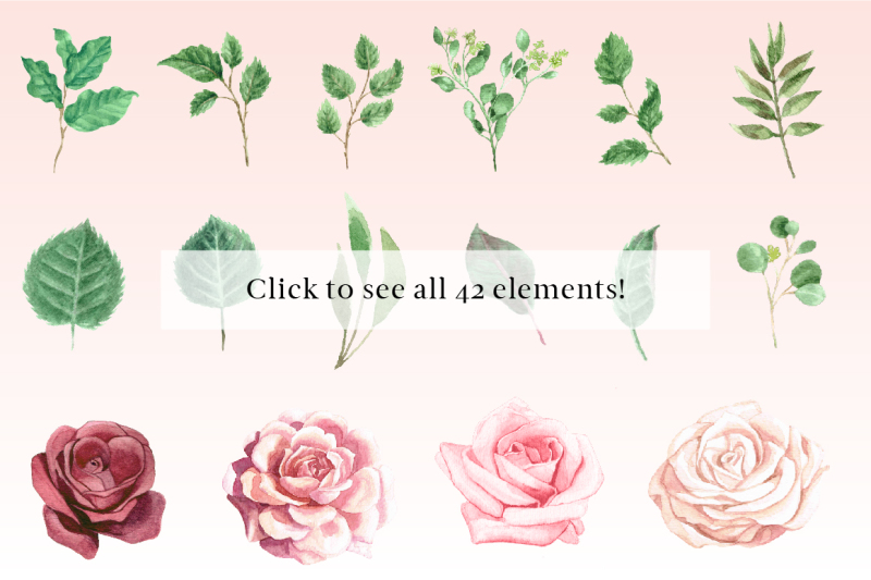 watercolor-roses-and-foliage-set