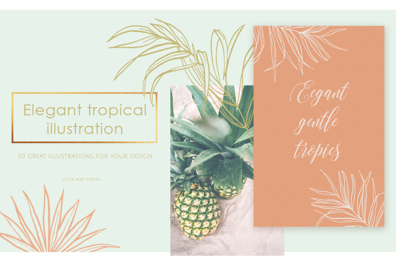 tropical-illustrations-and-patterns