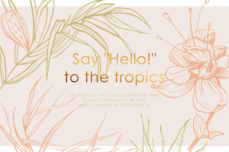 tropical-illustrations-and-patterns