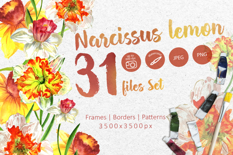 narcissus-lemon-png-watercolor-flower-set