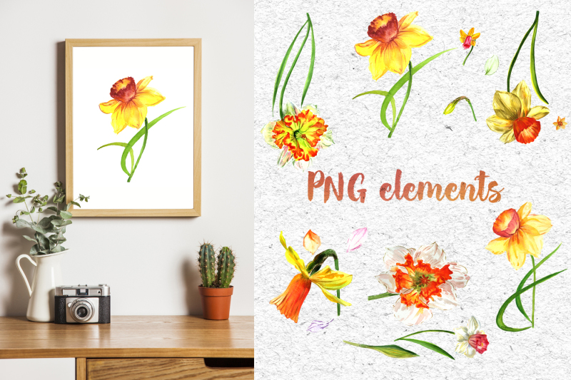 narcissus-lemon-png-watercolor-flower-set