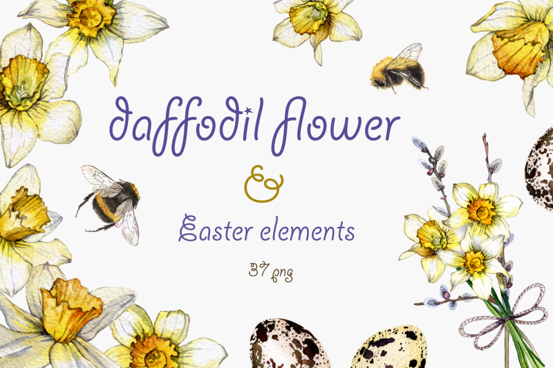 daffodil-flower