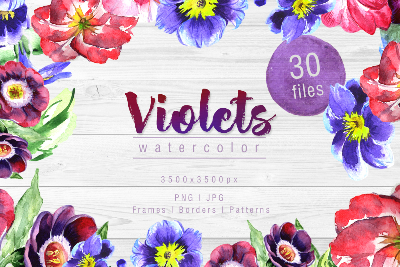 cool-violets-png-watercolor-flower-set