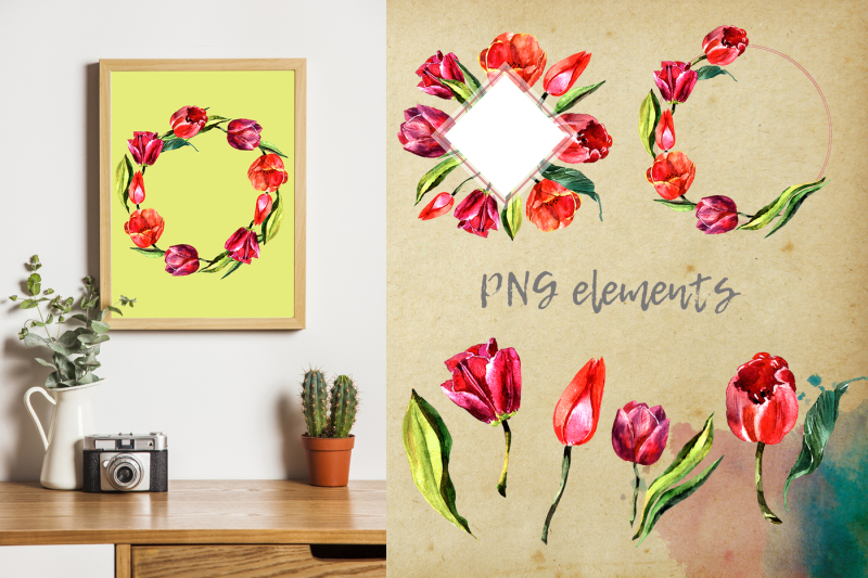 stunning-red-tulips-png-watercolor-set