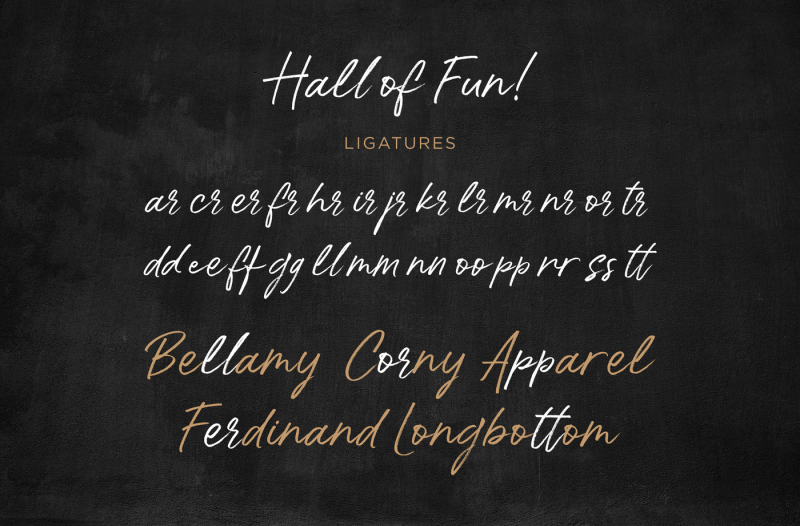 hall-of-fun-casual-elegant-font