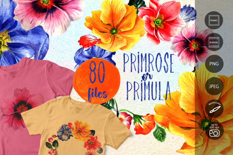 primrose-or-primula-flowers-png-watercolor-set