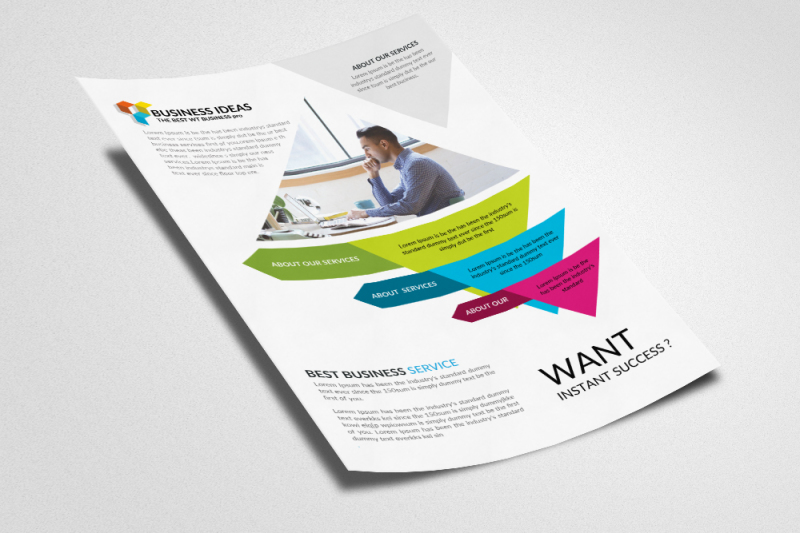 business-info-graphic-flyer-template