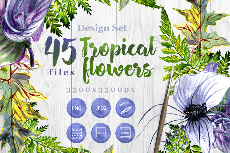 tropical-flowers-png-watercolor-set