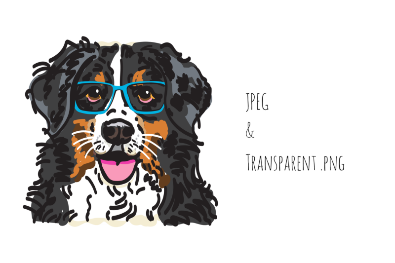 bernese-mountain-dog-with-glasses