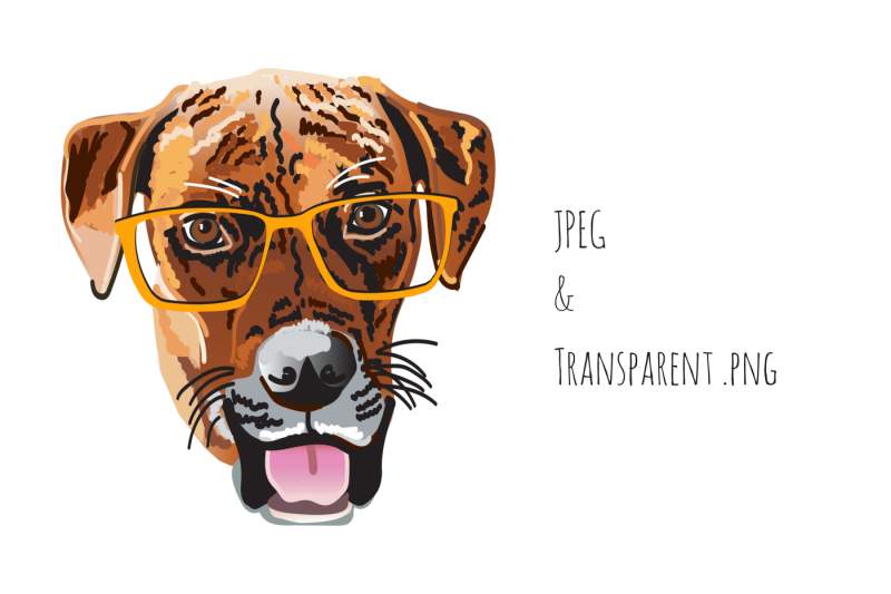 brown-dog-with-glasses-graphic