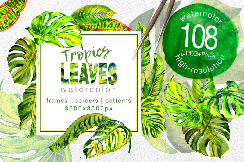 tropics-leaves-monstera-png-watercolor-set