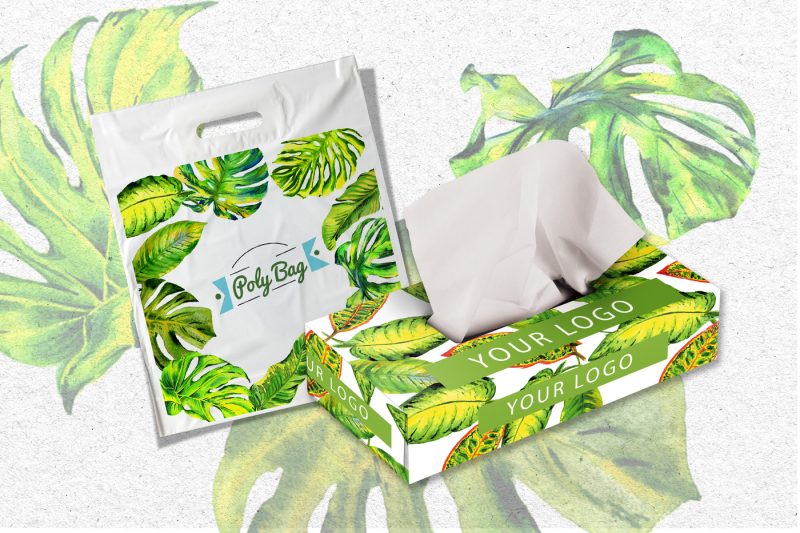 tropics-leaves-monstera-png-watercolor-set