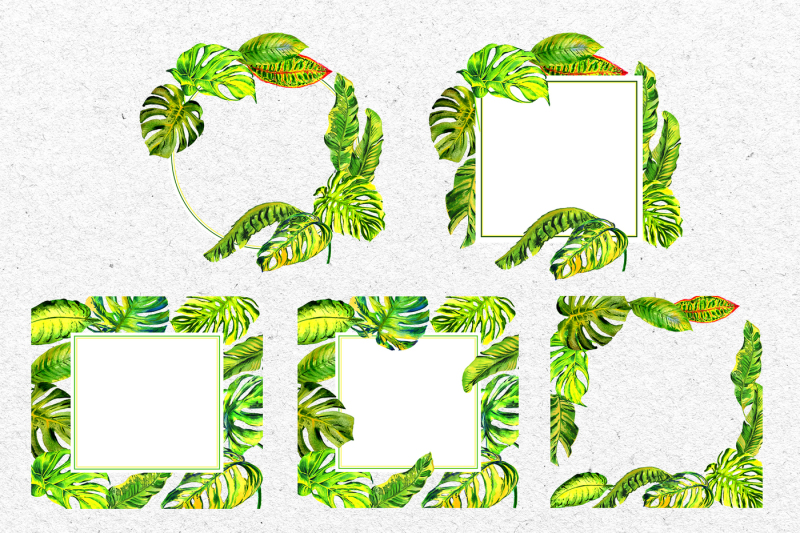 tropics-leaves-monstera-png-watercolor-set