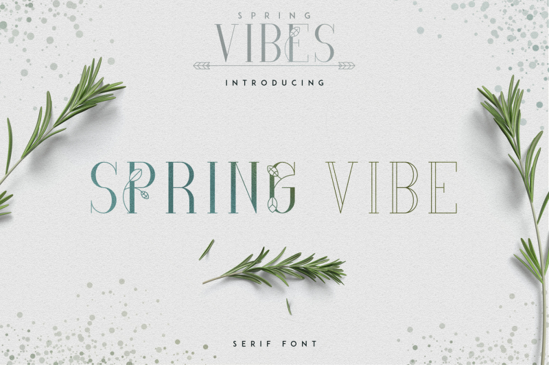 spring-vibes-springvibe-serif-font-30-percent