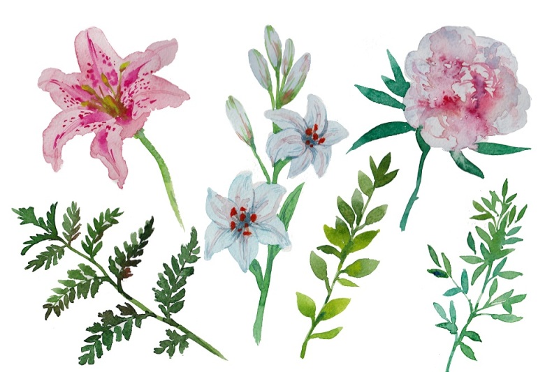 watercolor-painted-flowers-pack