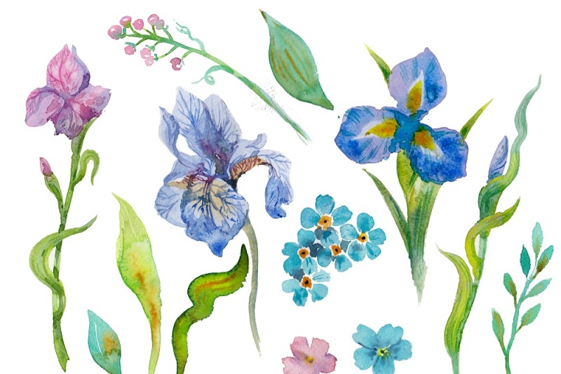 watercolor-painted-flowers-pack