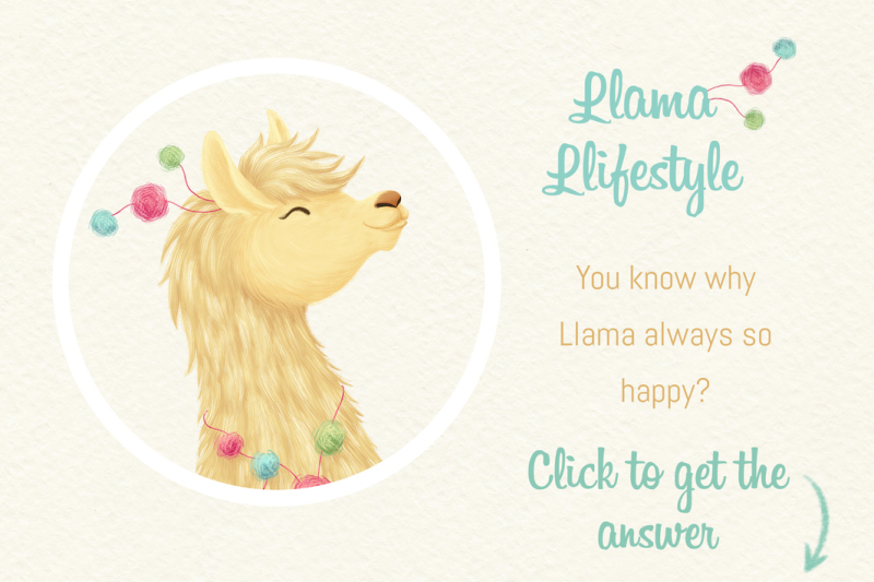 llama-lifestyle-collection