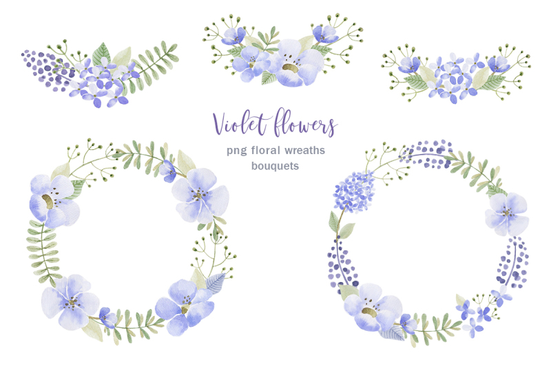violet-flowers-watercolor-collection