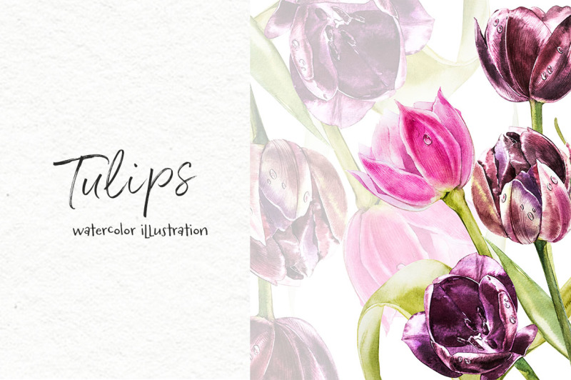 tulips-flowers