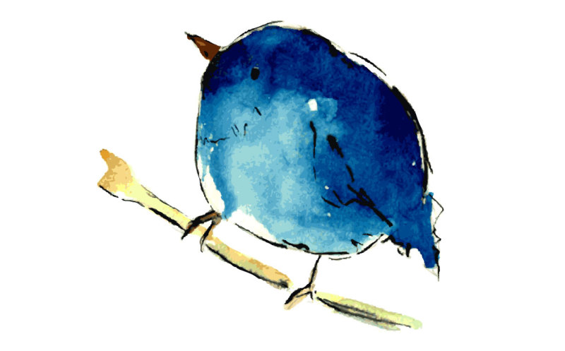 blue-bird-watercolor