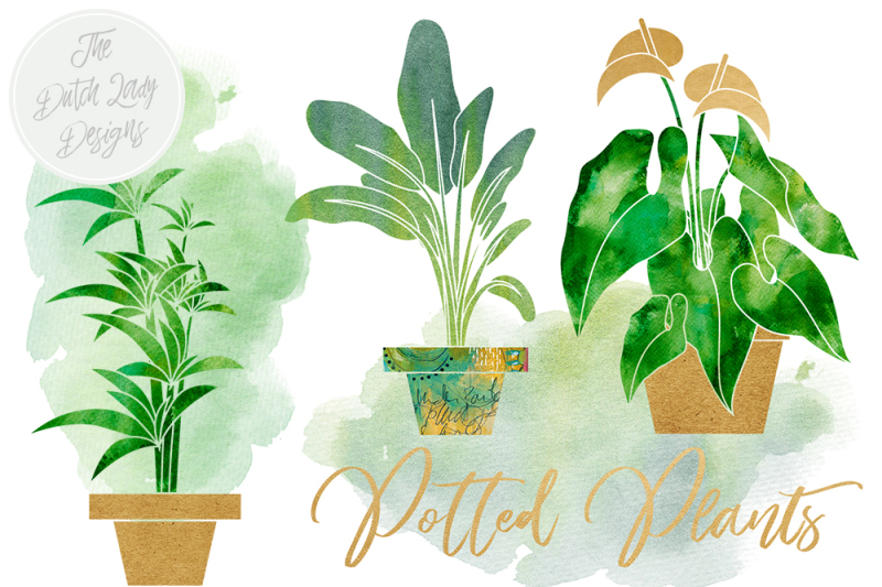 potted-plants-clipart-set