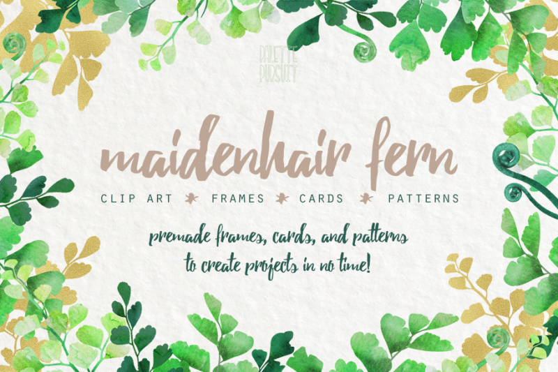 watercolor-fern-leaves-frames-and-cards