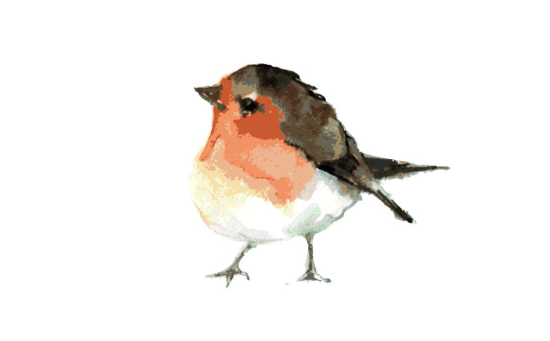 robin-watercolor