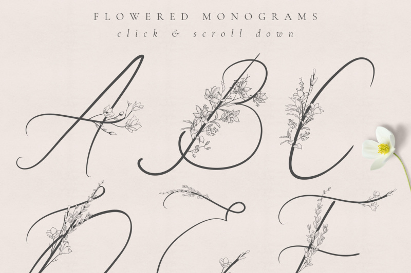 flowered-monogram-amp-logo-collection