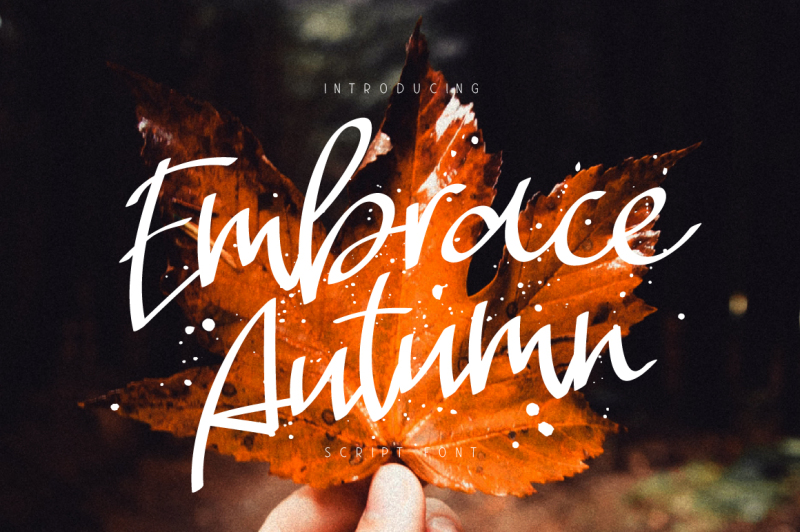embrace-autumn