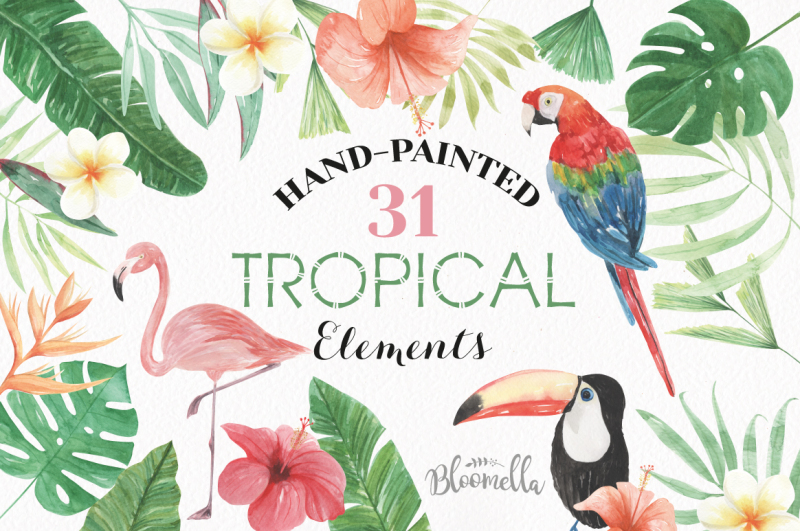 tropcial-watercolor-flamingo-elements-flowers-hibiscus-exotic-flowers