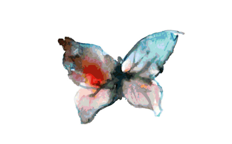 small-butterfly-waterclor