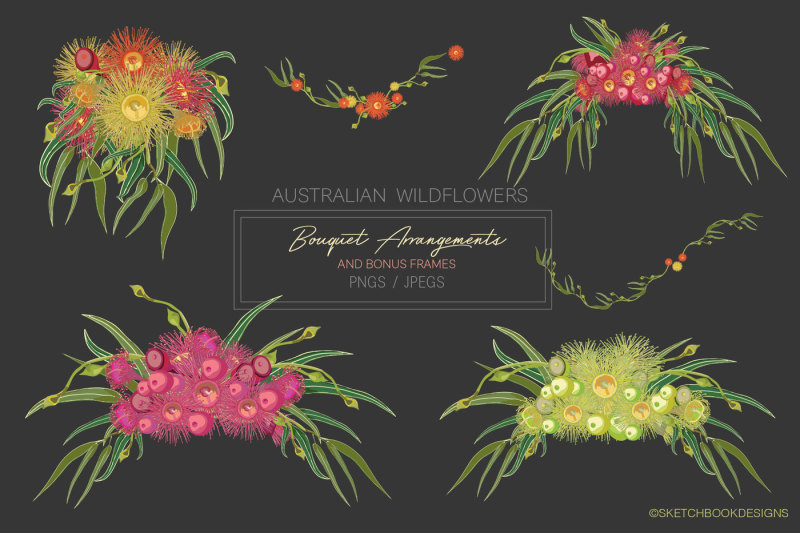 australian-wild-flowers-collection