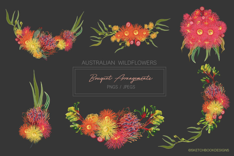 australian-wild-flowers-collection