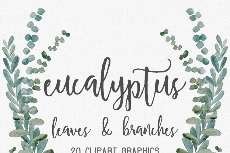 watercolor-eucalyptus-graphic-elements