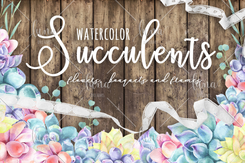 watercolor-succulents-set