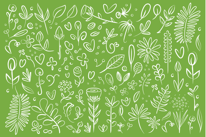 plant-amp-flower-specimen-doodles