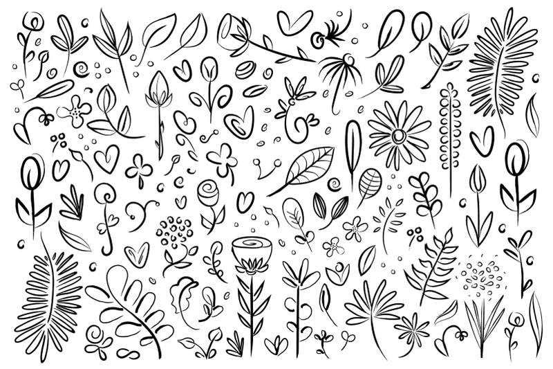plant-amp-flower-specimen-doodles