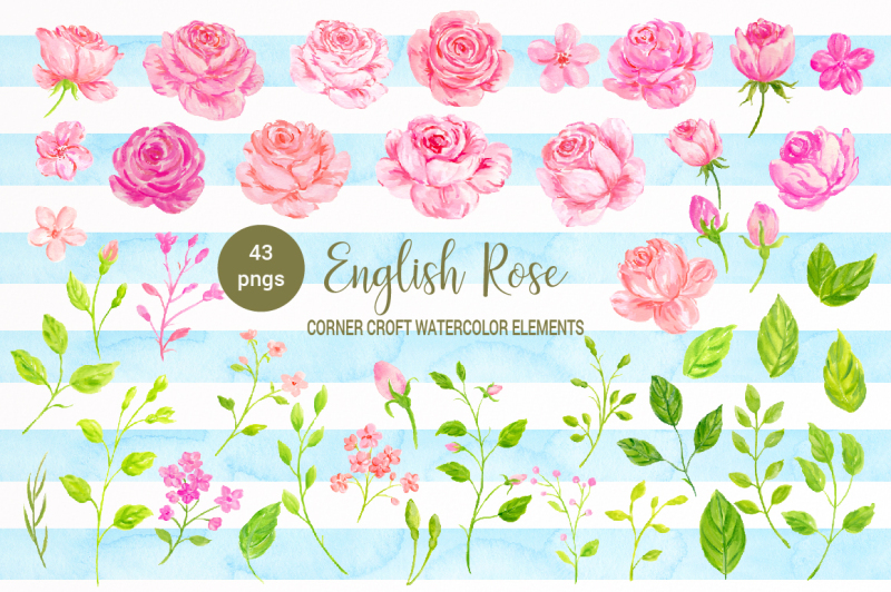 english-rose-clipart-watercolor-pink-rose