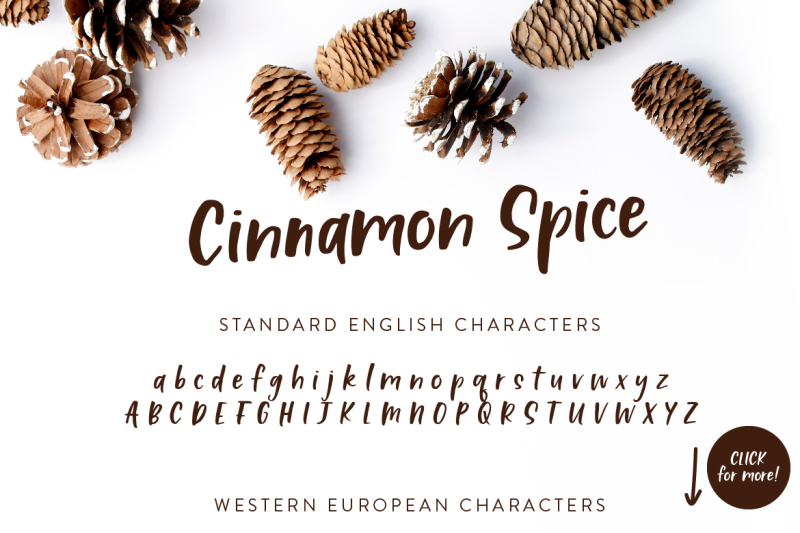 Cinnamon Spice Handwritten Font By Clementine Creative Thehungryjpeg Com
