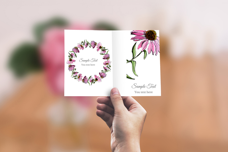 set-with-sketches-of-echinacea-flowers