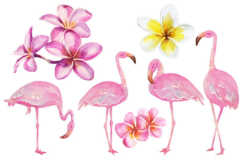 watercolor-tropical-set-with-flamingo