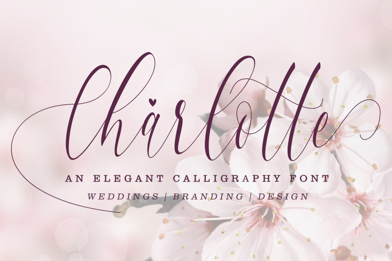 charlotte-calligraphy