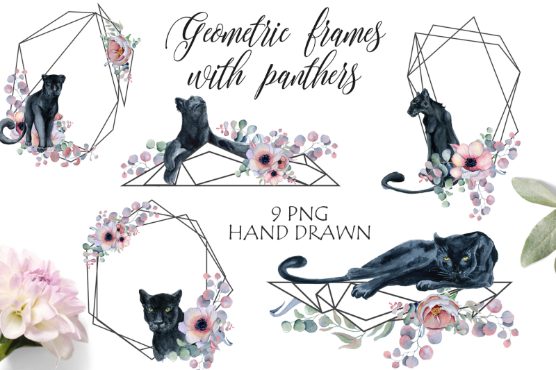 geometric-frames-with-panthers