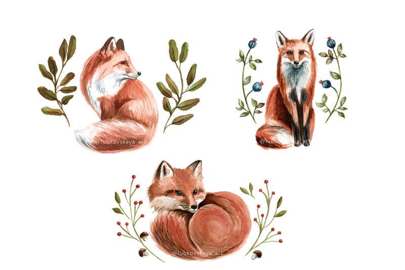 cute-foxes-watercolor-illustrations