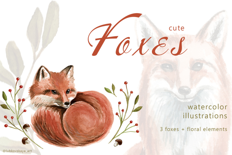 cute-foxes-watercolor-illustrations