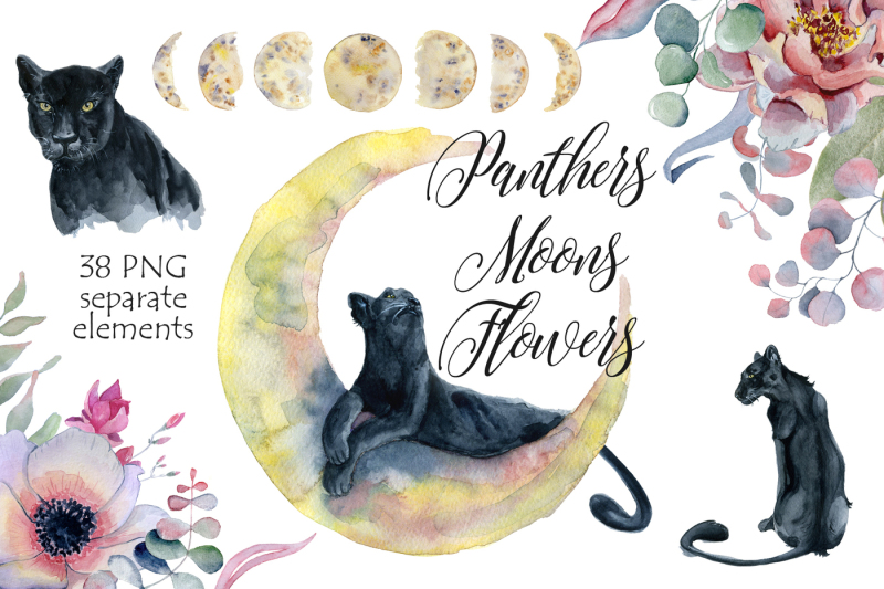 panthers-moons-flowers-watercolor-clipart